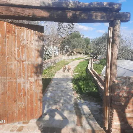 Kamp alanı Ali Dede Kamp Karavan