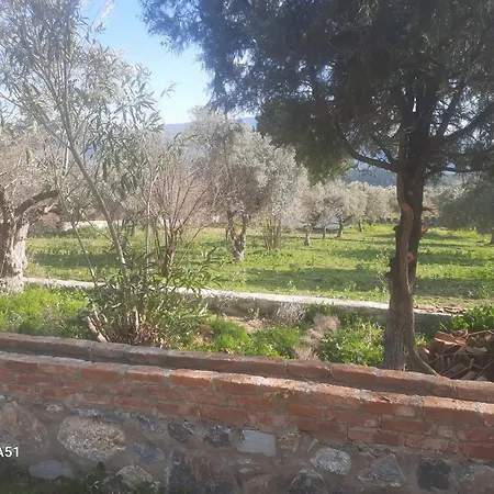 Kemp Ali Dede Kamp Karavan Selcuk