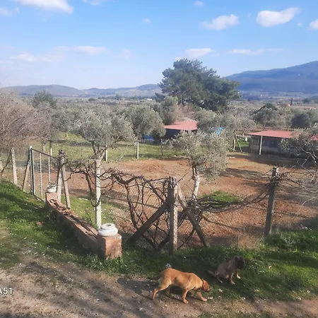 Ali Dede Kamp Karavan *