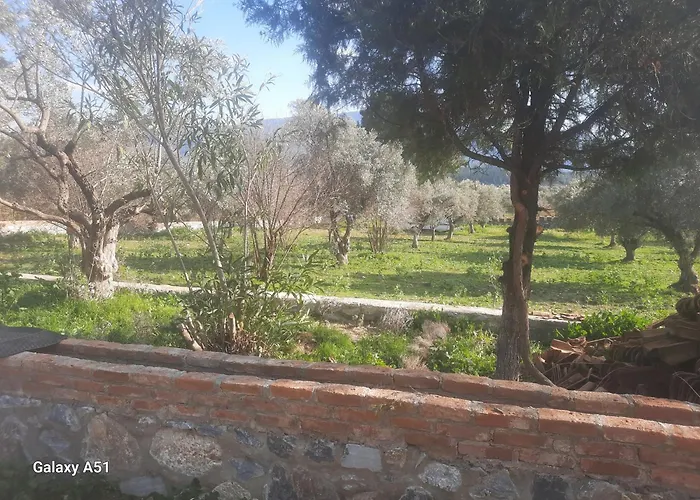 Kemp Ali Dede Kamp Karavan Selcuk